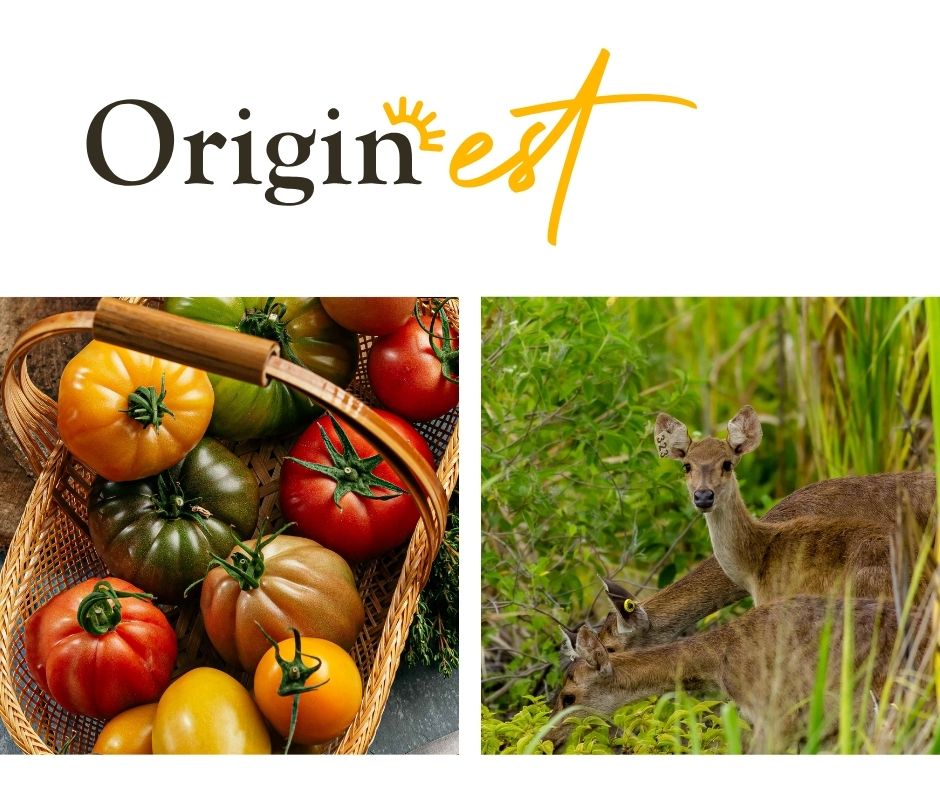 Alteo présente Origin’Est pour célébrer les produits du terroir de la région Est